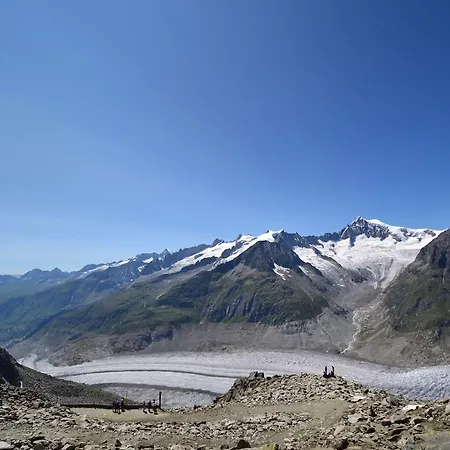 Appartmenthaus Bergfreund *