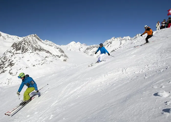 Appartmenthaus Bergfreund Daire Fiesch