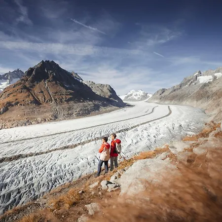 Appartmenthaus Bergfreund