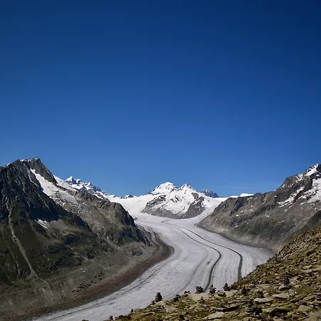 アパート Appartmenthaus Bergfreund