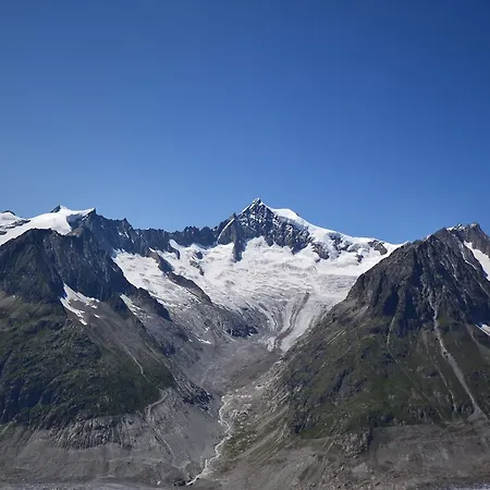 Apartmán Appartmenthaus Bergfreund *