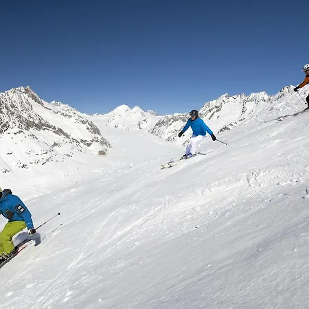 Appartmenthaus Bergfreund Apartmán Fiesch